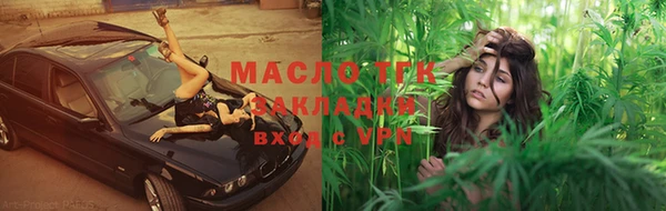 хмурый Верея