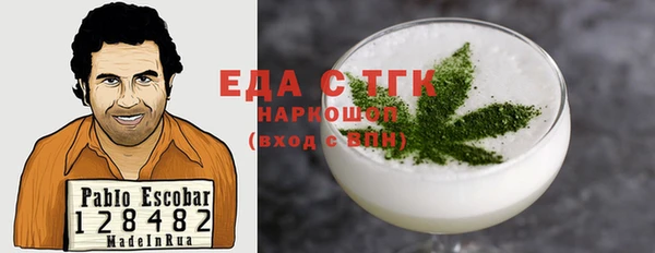 амф Верхний Тагил