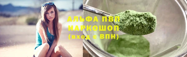 амф Верхний Тагил