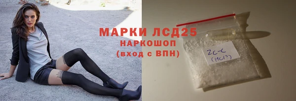 хмурый Верея