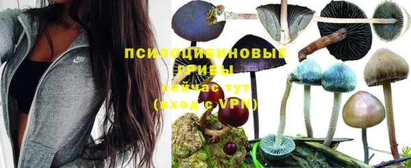 стаф Верхнеуральск